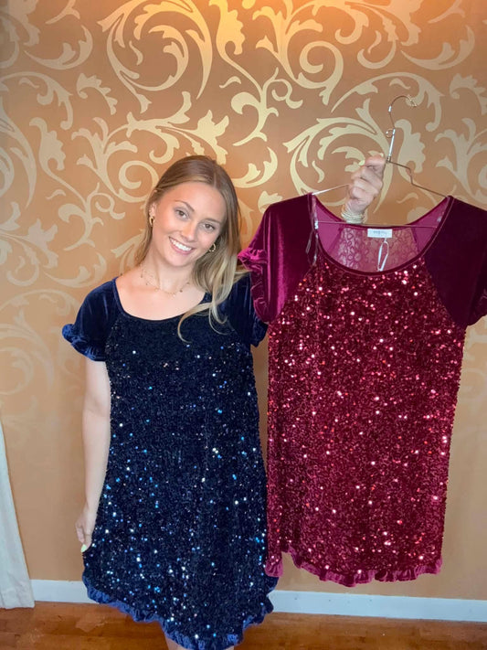 Sparkle Velvet Sequin Dress